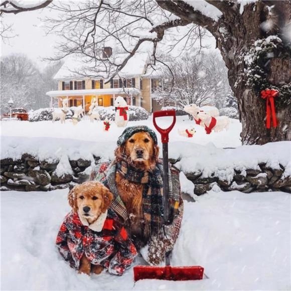 3-Piece Reindeer Family - 210 Lights 52" Buck 44" Doe 28" Fawn - Large (White) - Picture 3 of 6